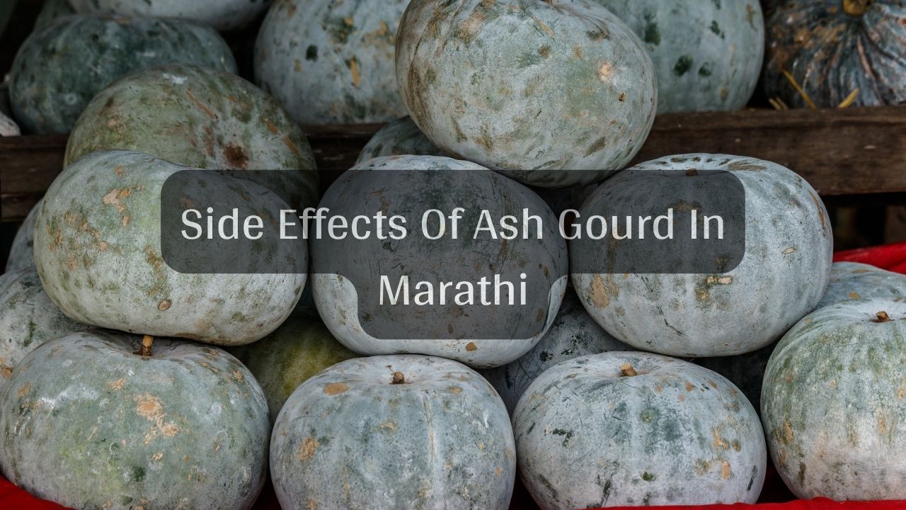 Side Effects Of Ash Gourd In Marathi