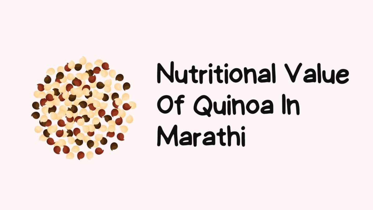 Quinoa in Marathi क्विनोआ म्हणजे काय? Mayboli.in