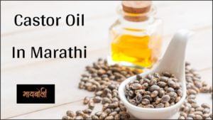 castor oil in marathi