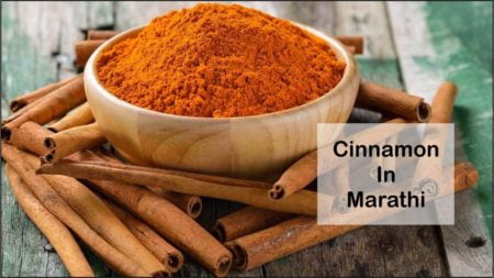 cinnamon in marathi