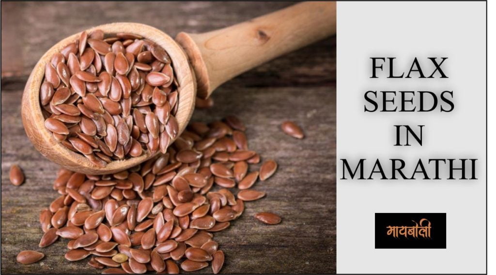 flax seed in marathi