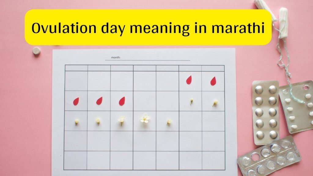 Ovulation Meaning in marathi ओव्हुलेशन म्हणजे काय ? Mayboli.in