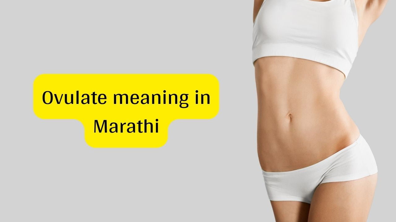 Ovulate meaning in Marathi