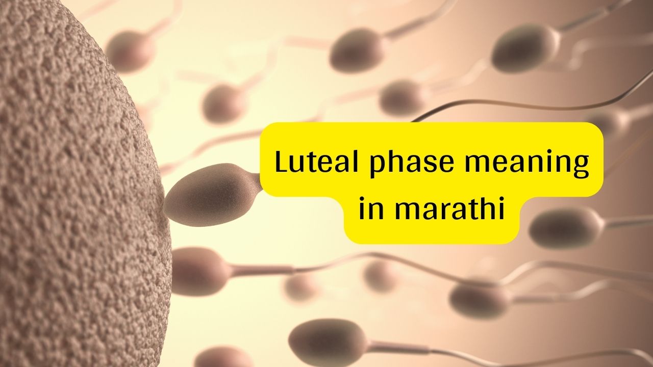 Luteal phase meaning in marathi