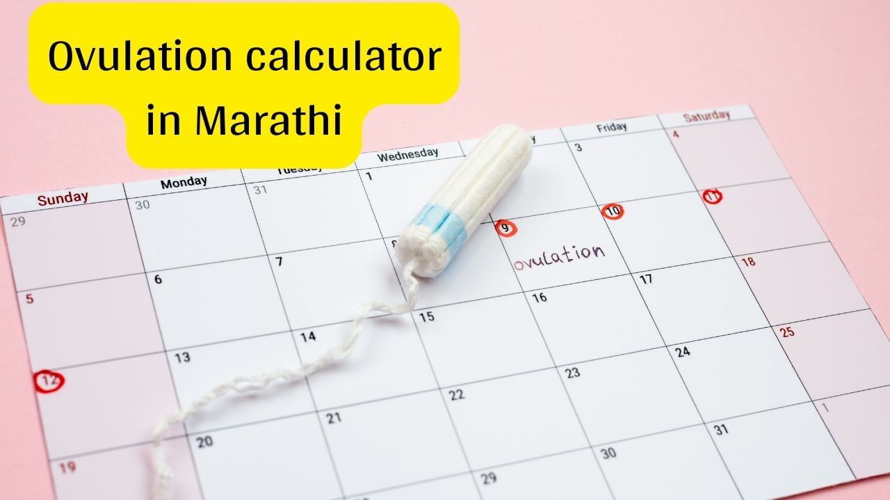 Ovulation calculator in Marathi