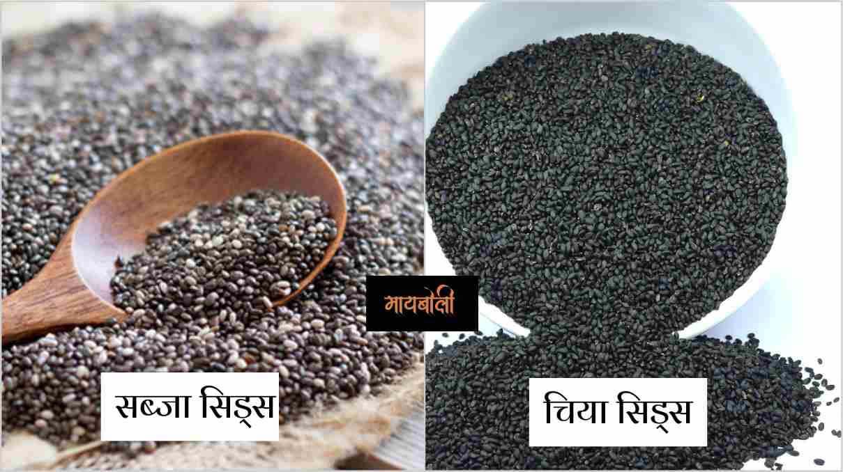 chia seeds in marathi