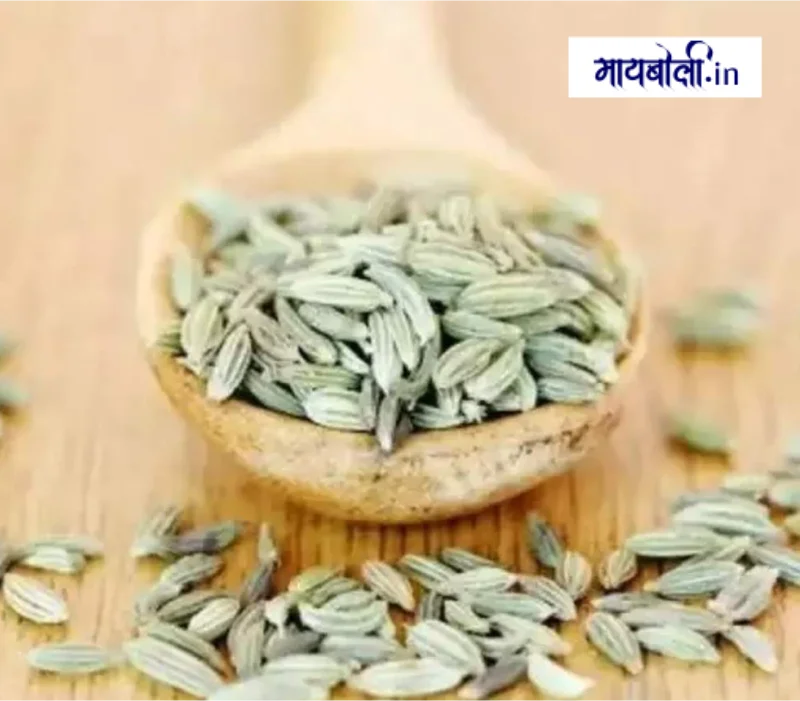 पोट फुगणे उपाय