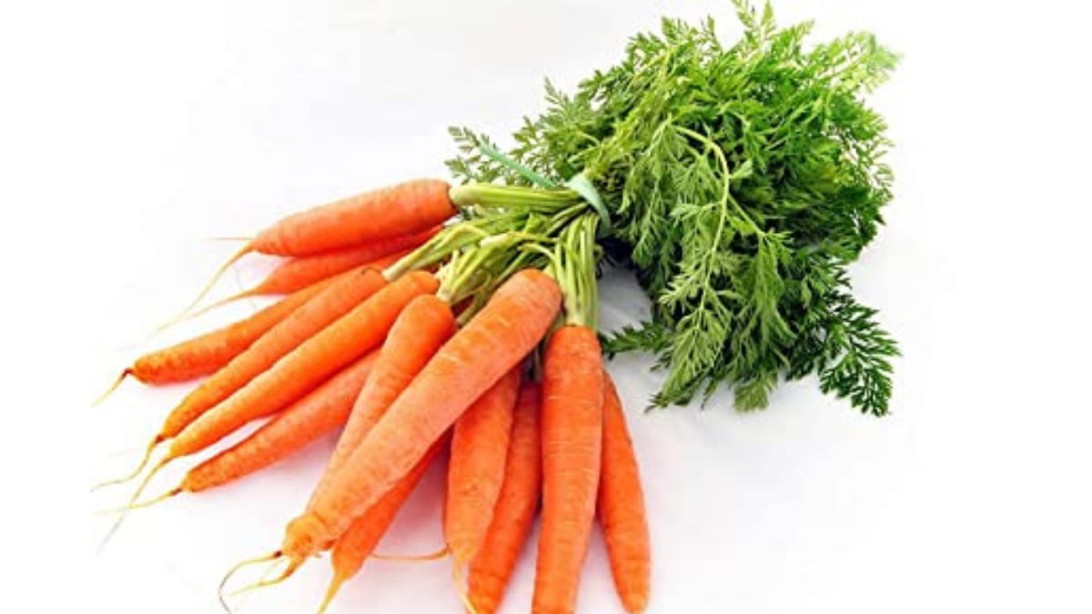 गाजर 