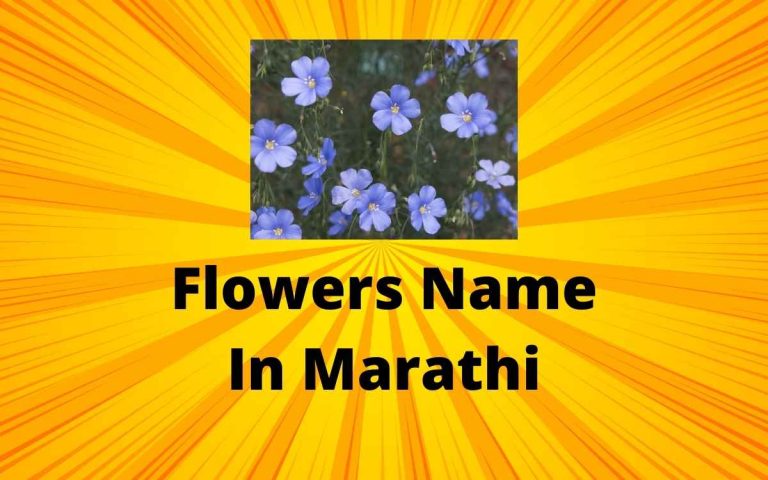 Flowers name in marathi