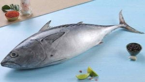 Marathi Name of Tuna Fish