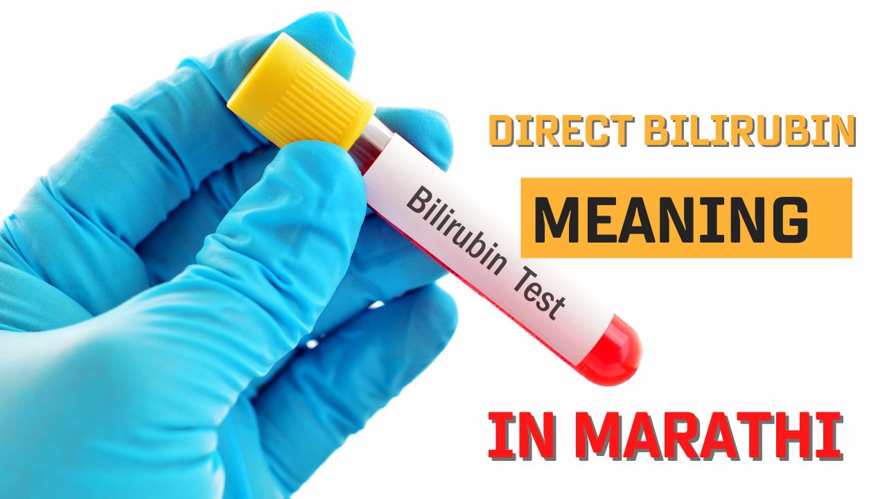Direct Bilirubin meaning in marathi