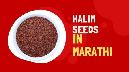 Halim Seeds In Marathi