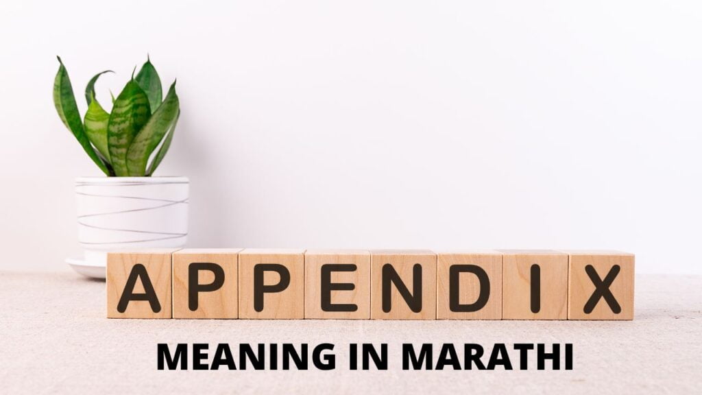 Appendix meaning in Marathi
