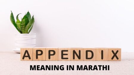 Appendix meaning in Marathi