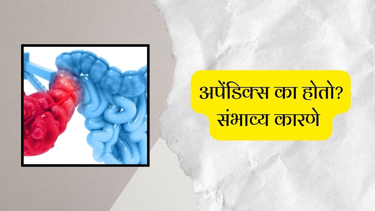 appendix-meaning-in-marathi-appendix-operation-in-marathi