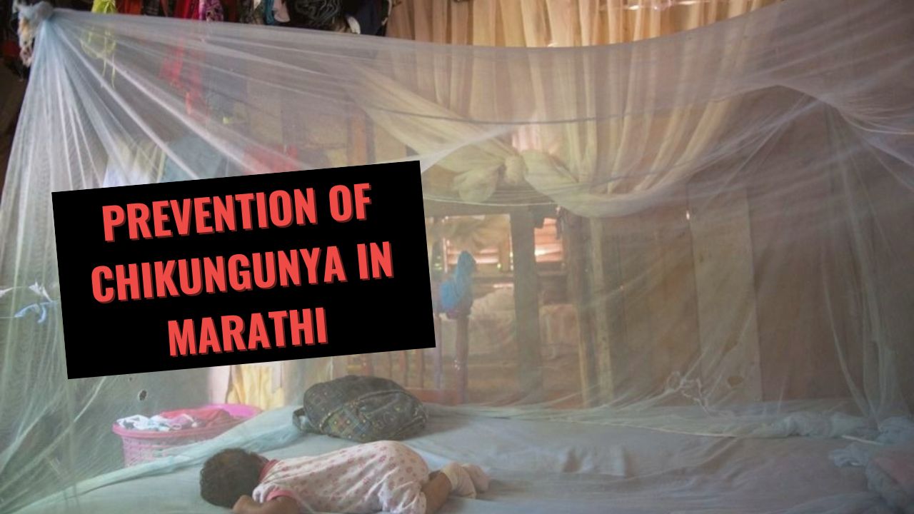 Prevention of Chikungunya in Marathi