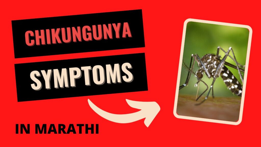 Chikungunya Symptoms in Marathi