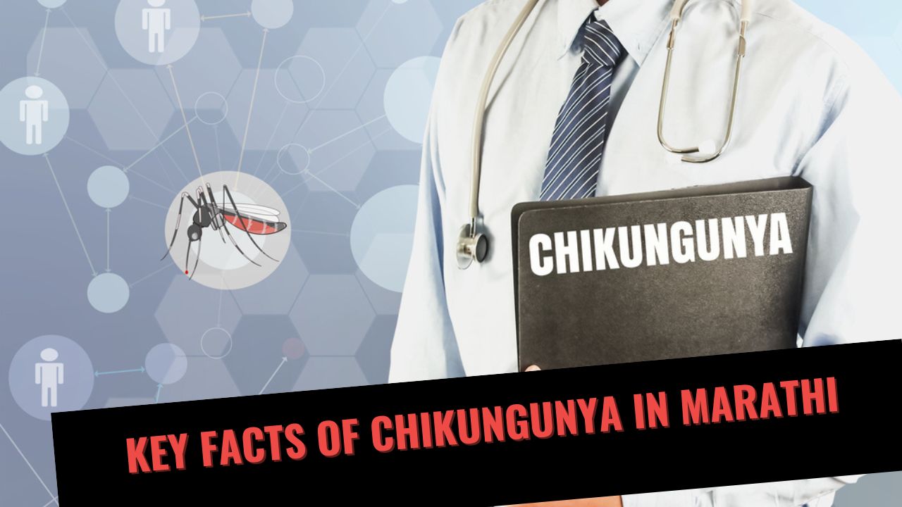 Key Facts of Chikungunya in Marathi