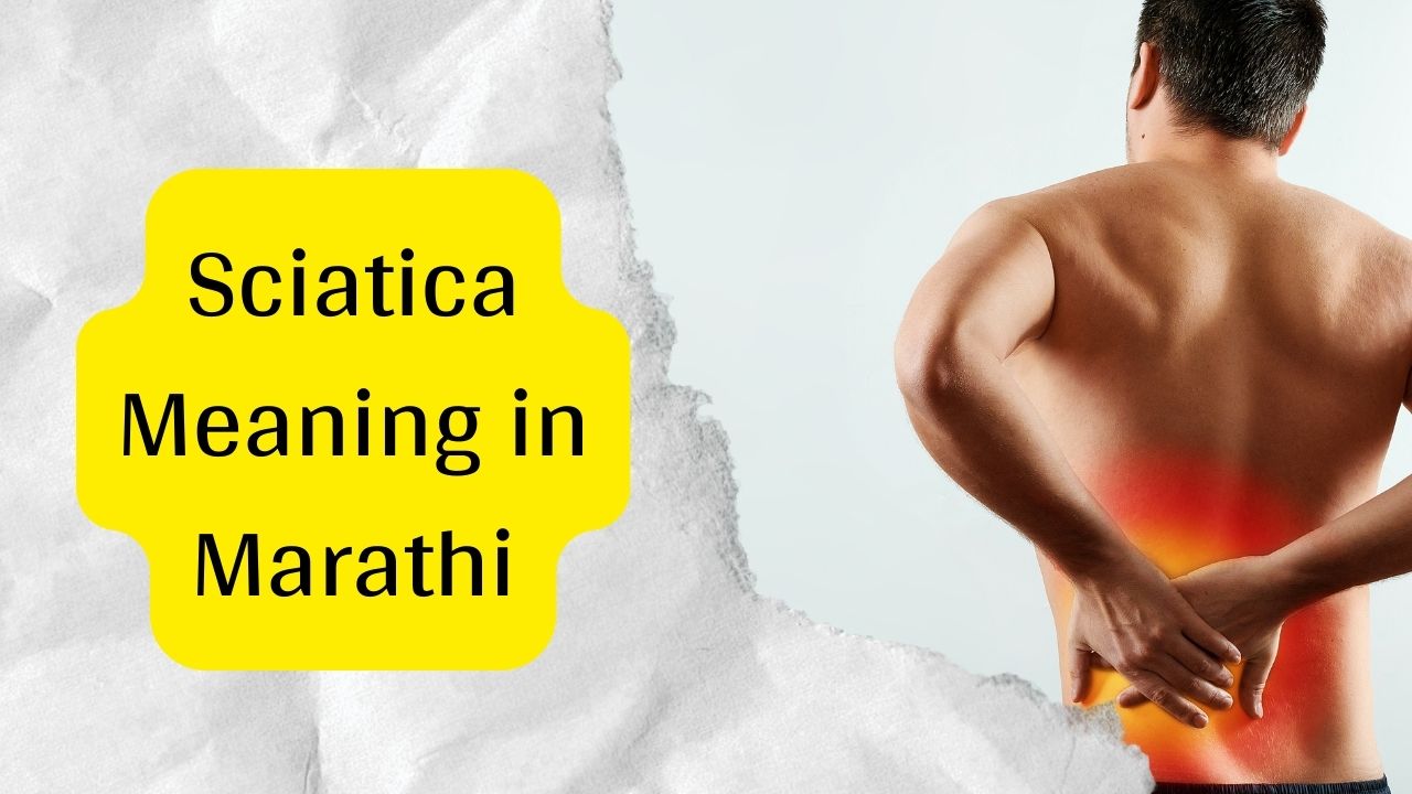 Sciatica Meaning in Marathi
