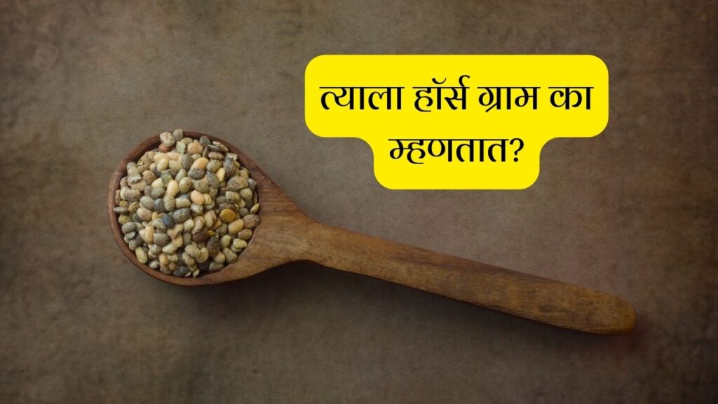 Benefits of Horse Gram in Marathi हॉर्स ग्राम म्हणजे काय? Mayboli.in
