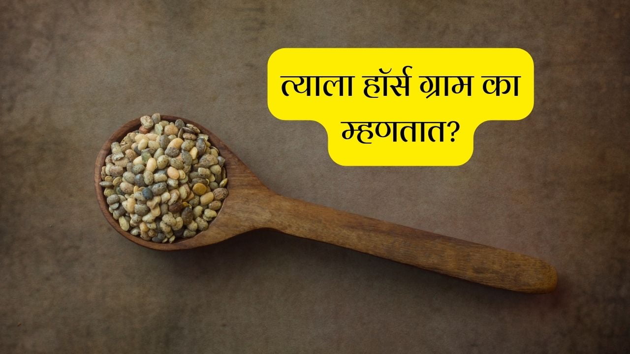Nutritional facts of horse gram in marathi