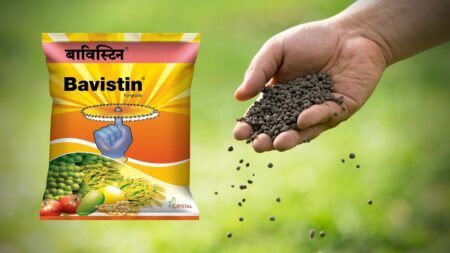 Bavistin Use in Marathi