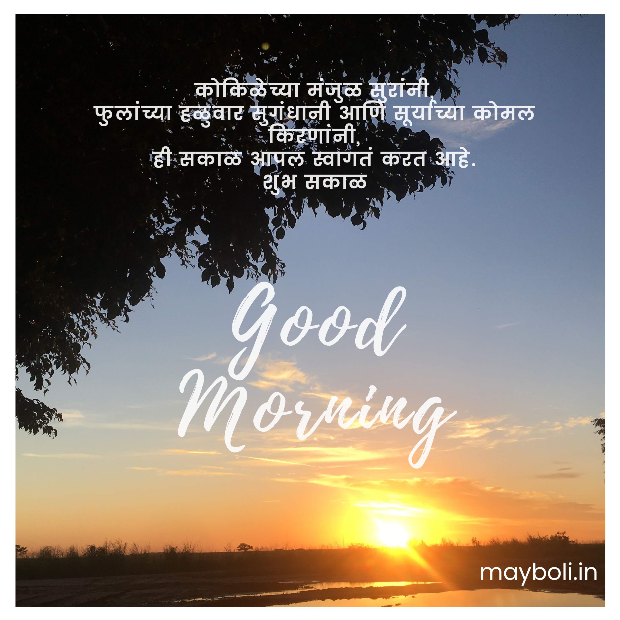 Fresh good morning marathi sms