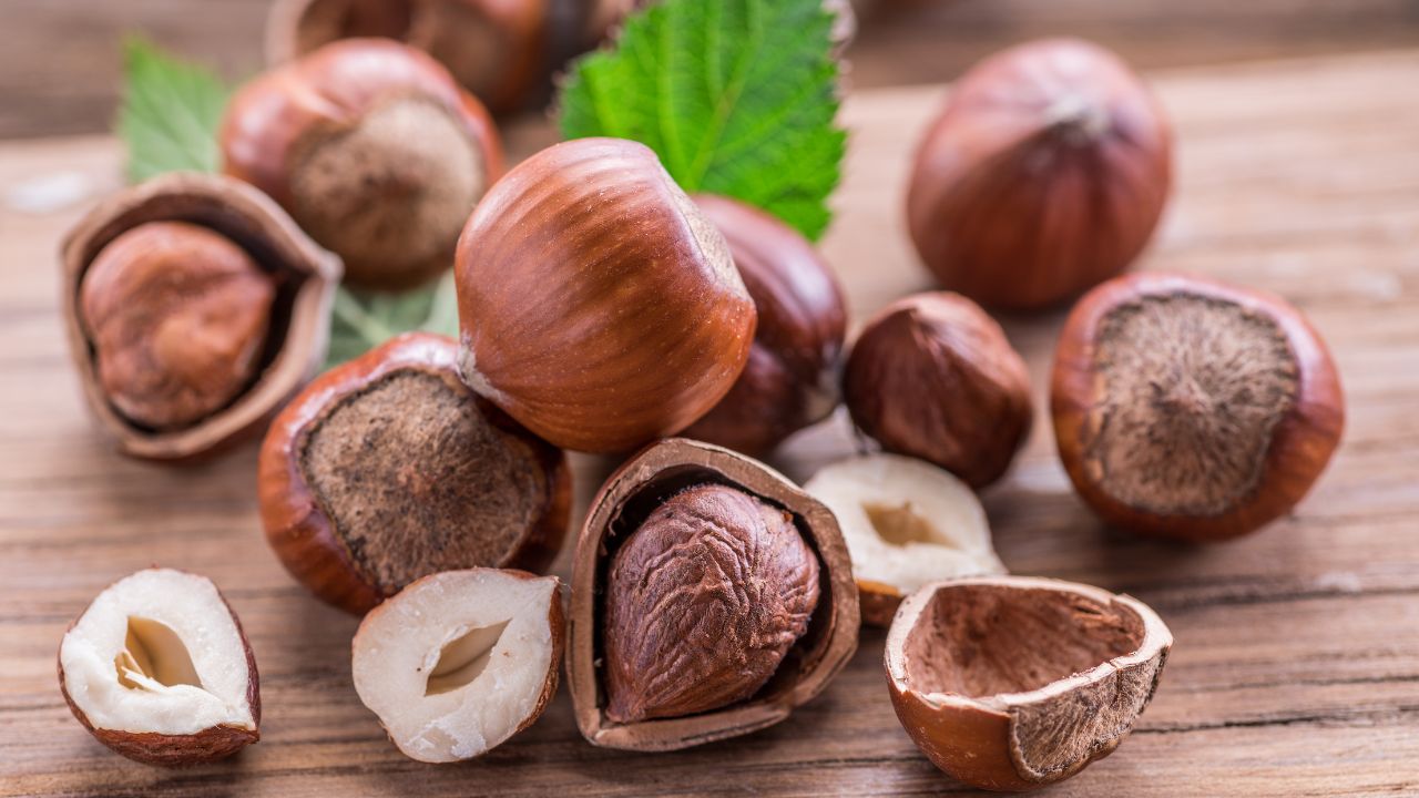 hazelnut-in-marathi-mayboli-in