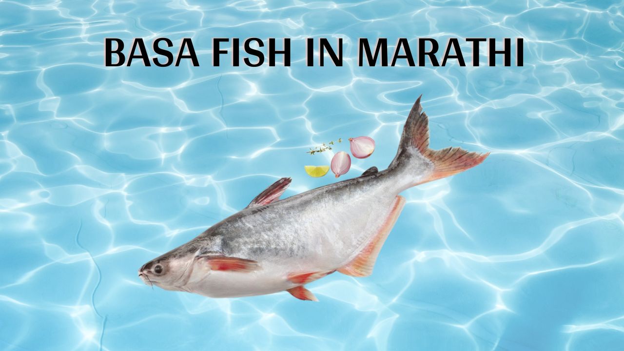Nutrition of Basa Fish In Marathi