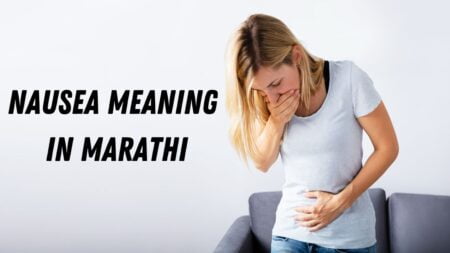 nausea meaning in marathi