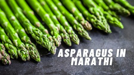 asparagus in marathi