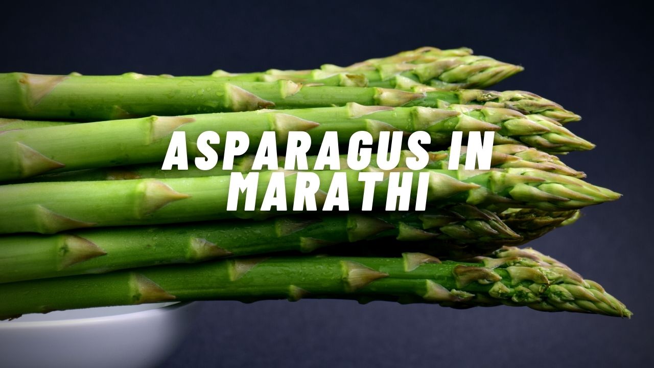 Name of Asparagus in Marathi