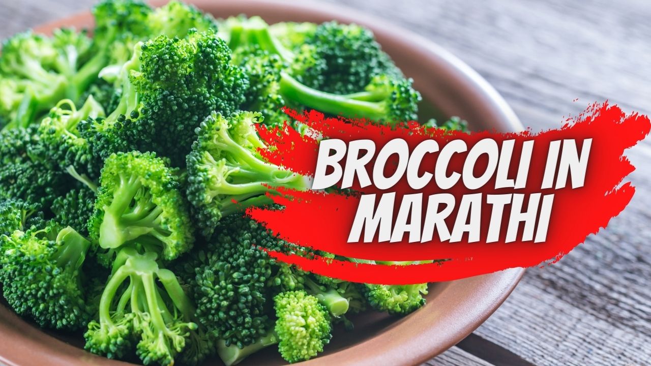 Broccoli in Marathi