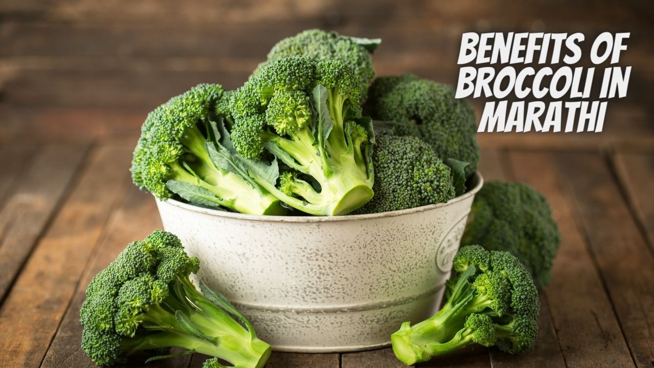 Benefits of Broccoli In Marathi
