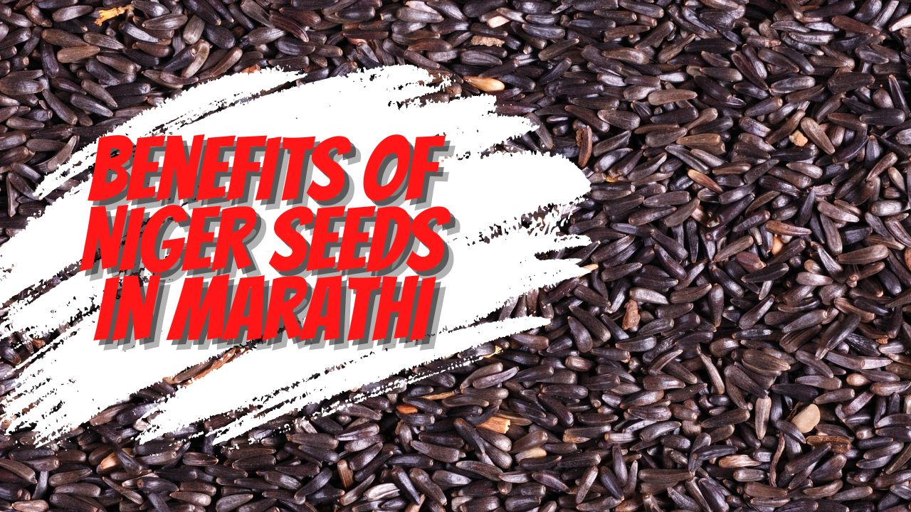 Benefits of Niger Seeds in Marathi