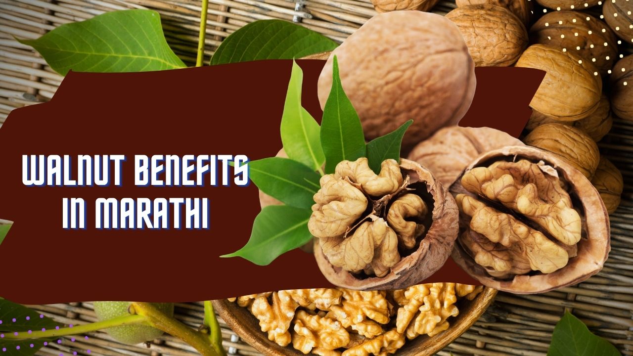 Walnut Benefits in Marathi