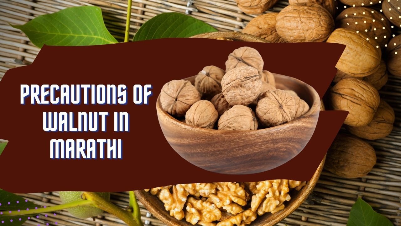 Precautions of Walnut In Marathi