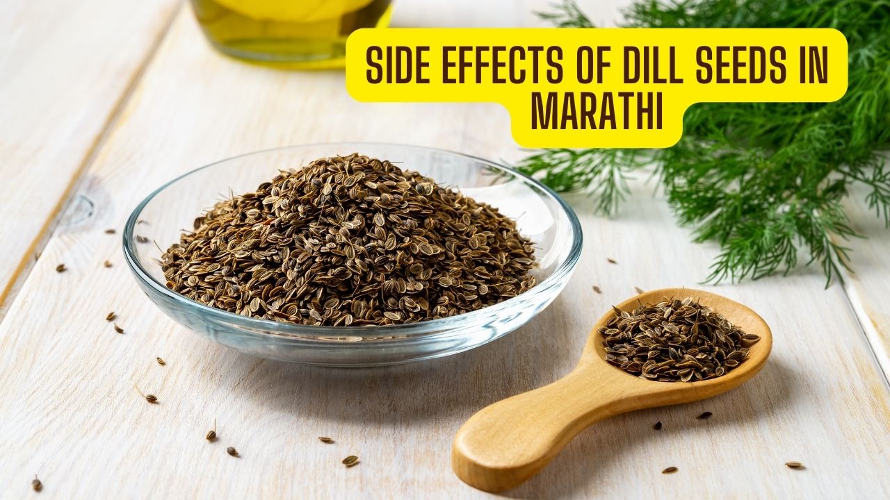 Side Effects of Dill Seeds in Marathi