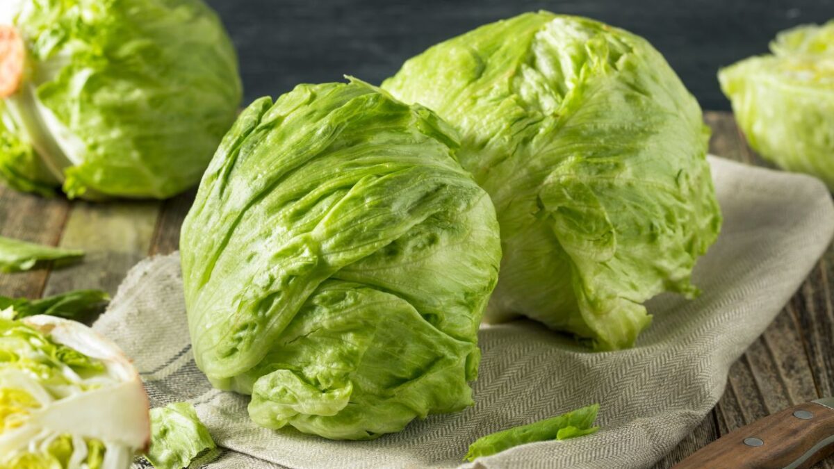 lettuce-in-marathi