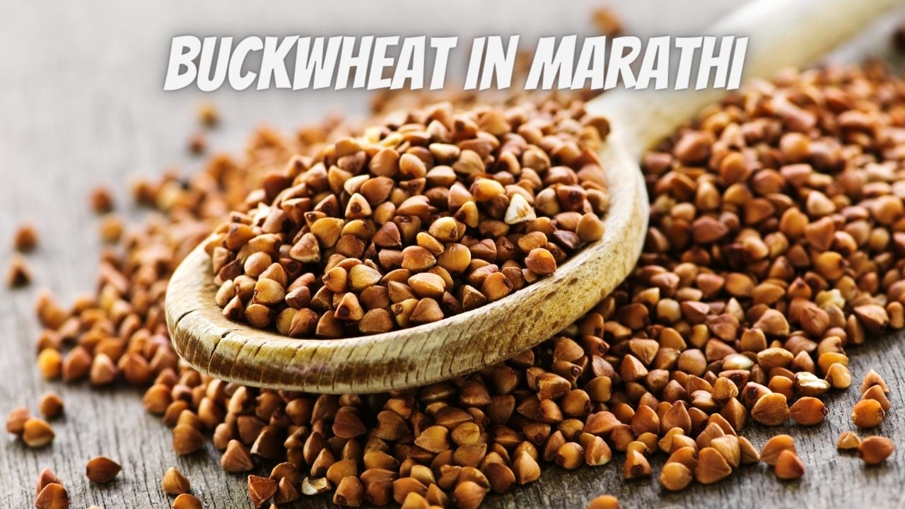 Nutritional Profile of Buckwheat In Marathi