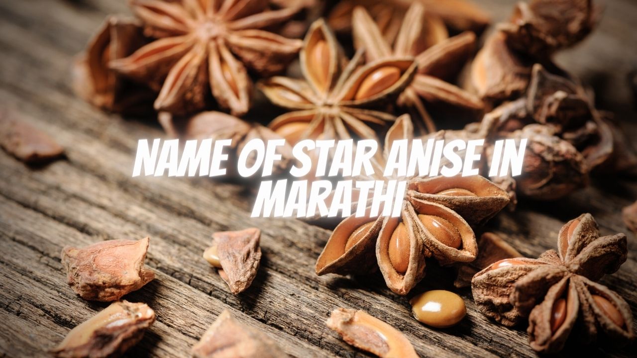 Name of Star Anise in Marathi