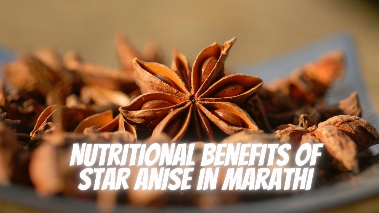 Nutritional Benefits of Star Anise In Marathi