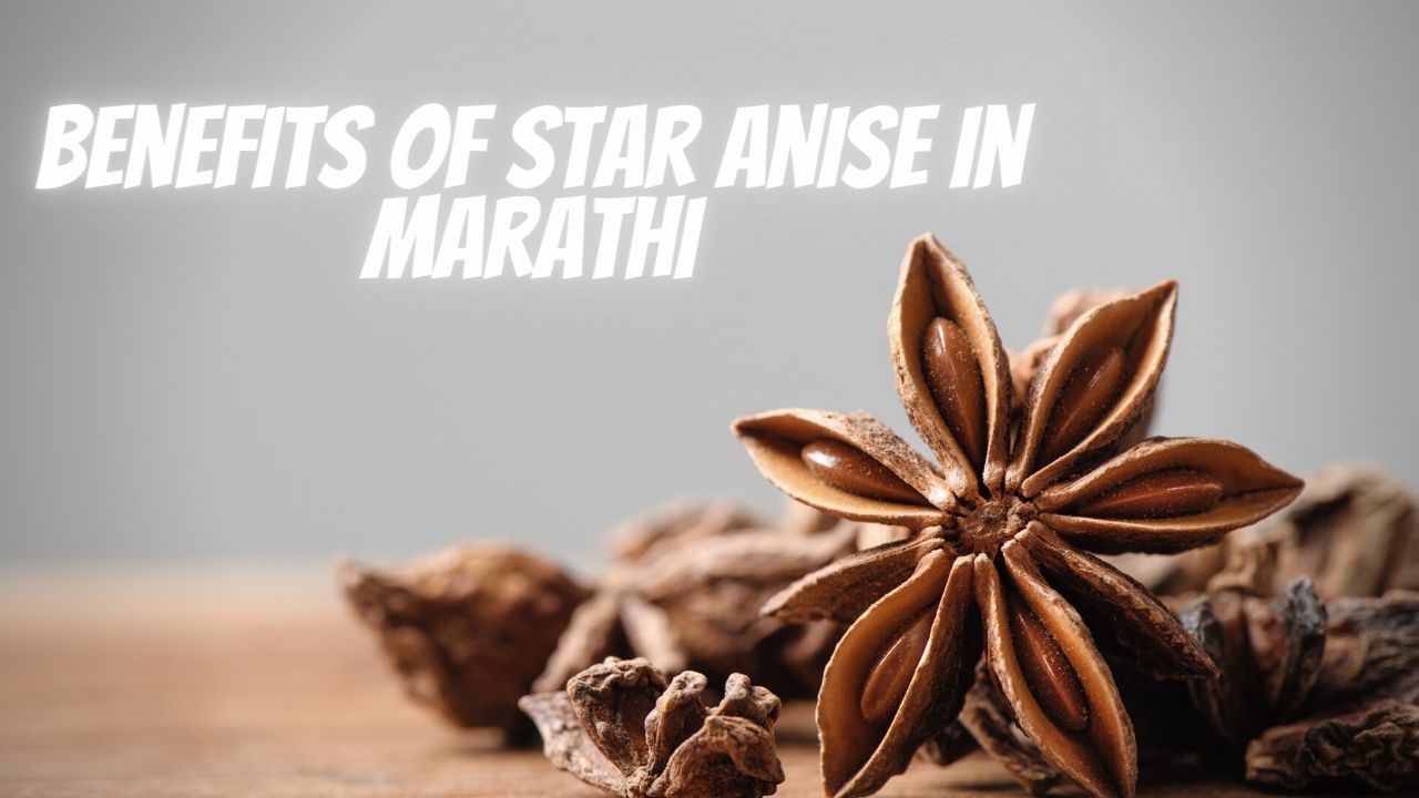 Benefits of Star Anise In Marathi