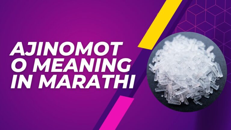 ajinomoto meaning in marathi