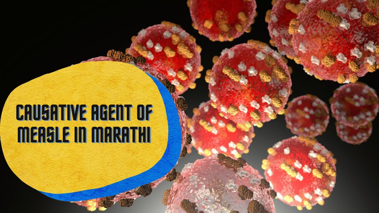Causative agent of Measles in Marathi