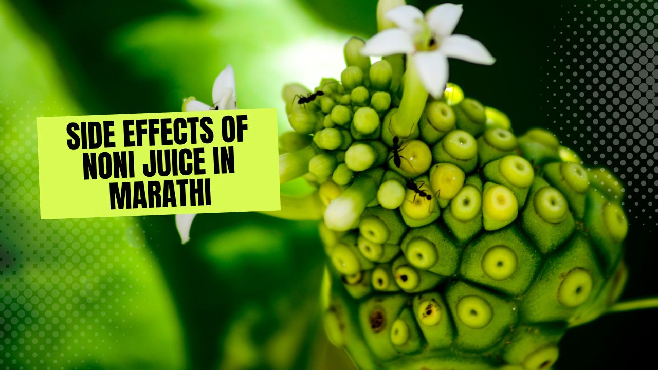 Side effects of Noni Juice in marathi