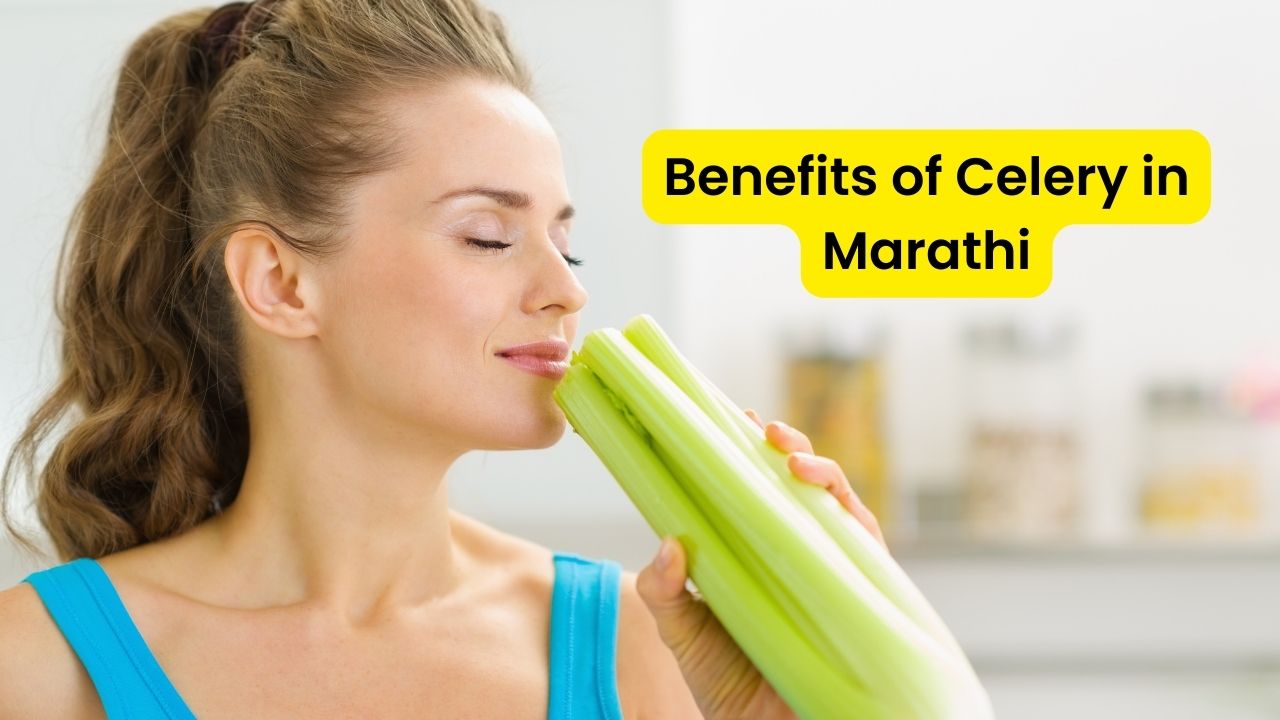 Benefits of Celery in Marathi