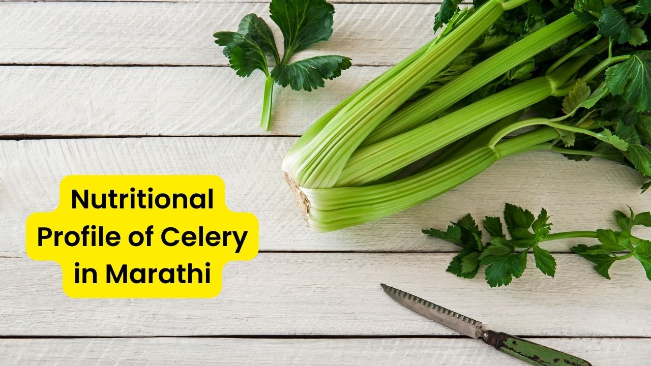 Nutritional Profile of Celery in Marathi
