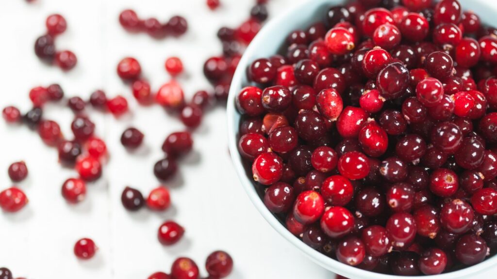 cranberry-in-marathi-mayboli-in