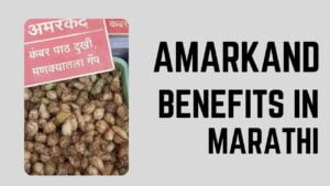 amarkand benefits in marathi